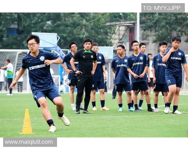 足球C的魅力与挑战探索足球文化的深度与广度